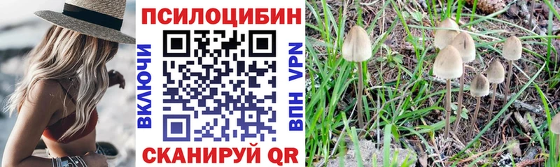 Псилоцибиновые грибы ЛСД  Купить  Боровск 